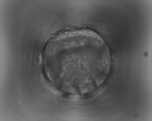 X0000112210131200909041350