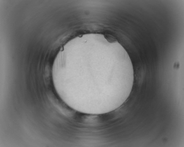 X0000112210132200909041350