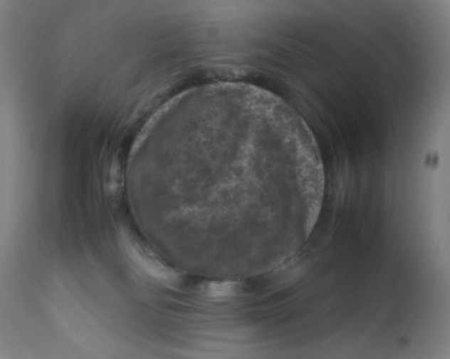 X0000112210134200909041350