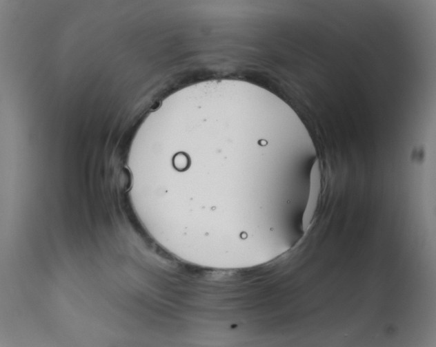 X0000112210136200909041350