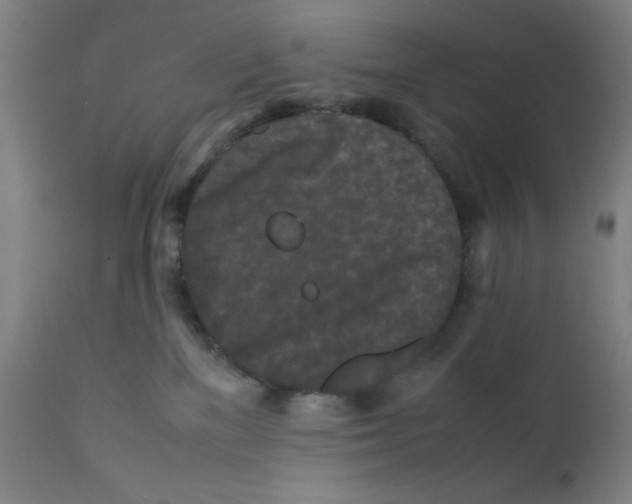 X0000112210137200909041350