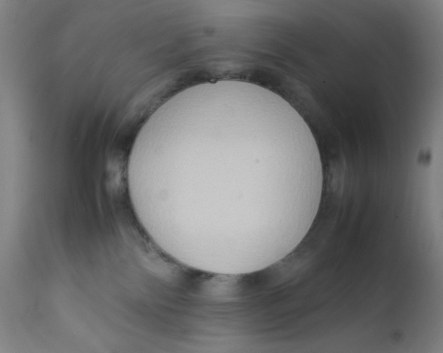X0000112210138200909041350