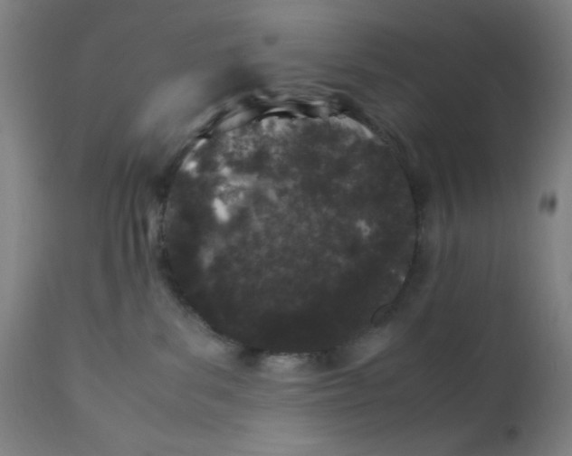 X0000112210139200909041350