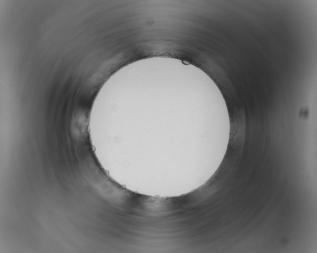X0000112210142200909041350