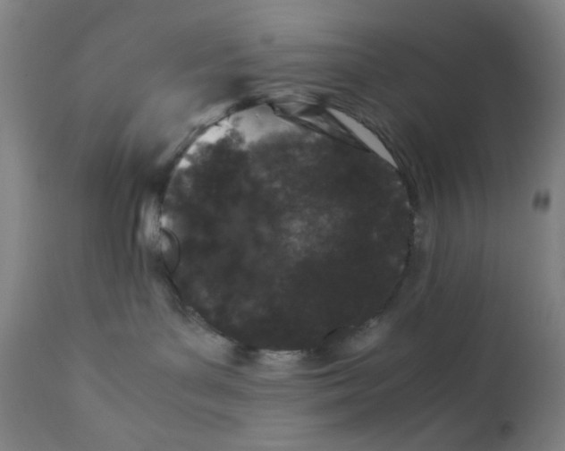X0000112210143200909041350