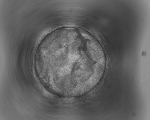 X0000112210145200909041349