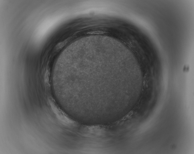 X0000112210146200909041349
