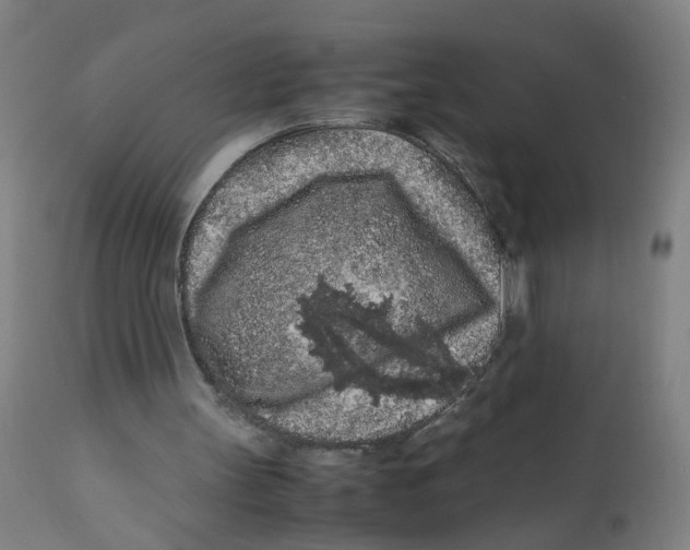 X0000112210147200909041349