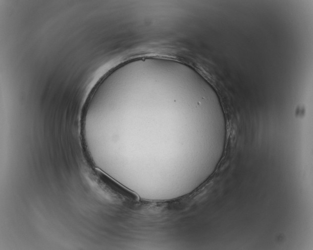 X0000112210148200909041349