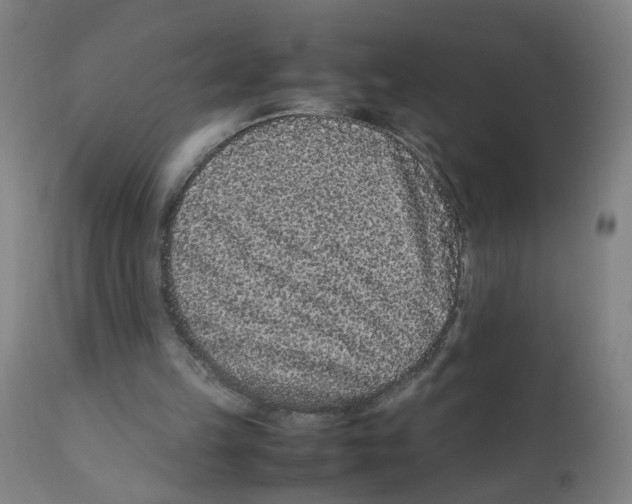 X0000112210149200909041349