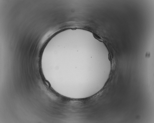 X0000112210150200909041349