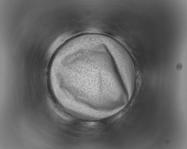 X0000112210151200909041349