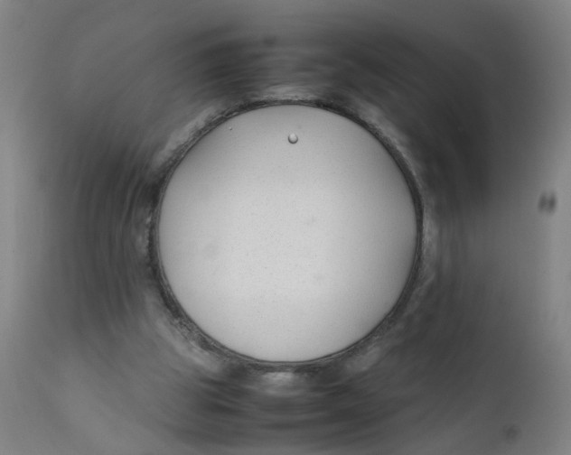 X0000112210153200909041349