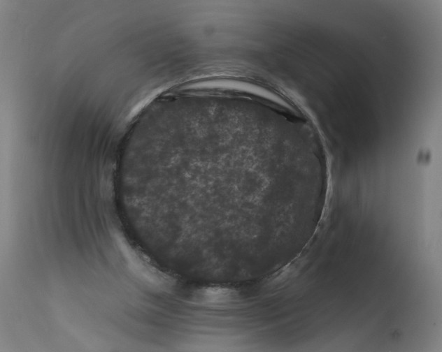 X0000112210154200909041349