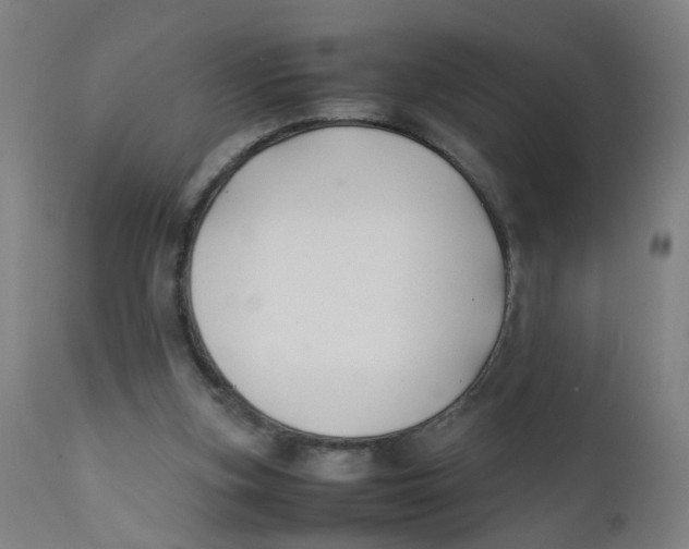 X0000112210155200909041349
