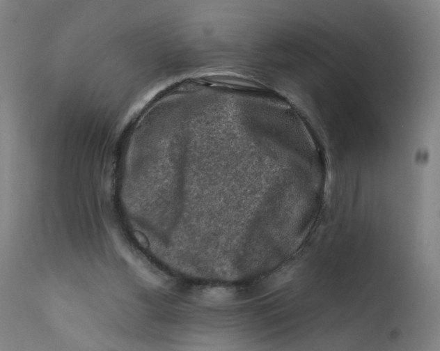 X0000112210156200909041349