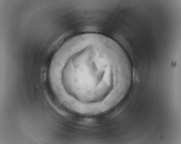 X0000112210157200909041349