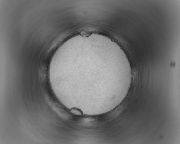 X0000112210158200909041349