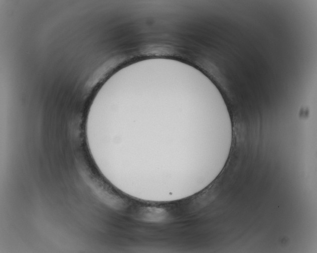 X0000112210159200909041349