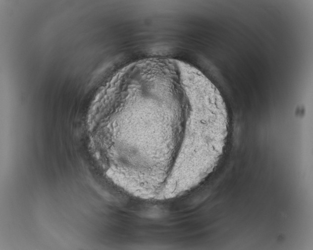 X0000112210161200909041349