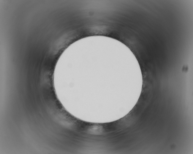 X0000112210162200909041349