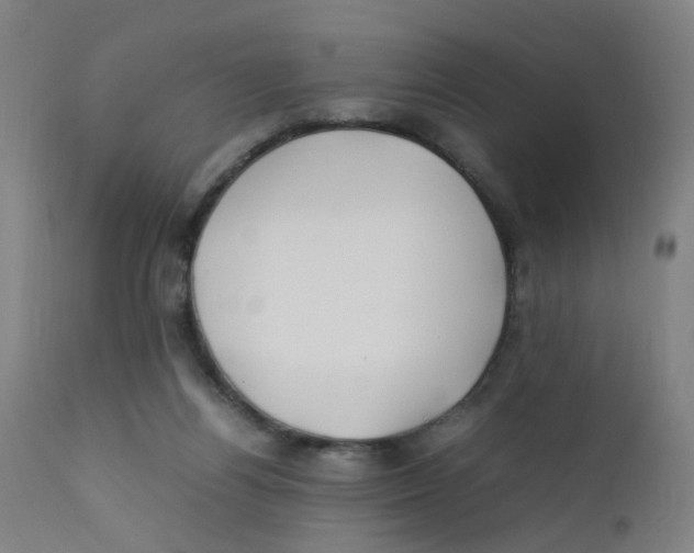 X0000112210164200909041349