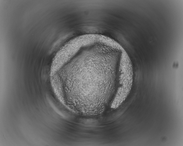 X0000112210165200909041349