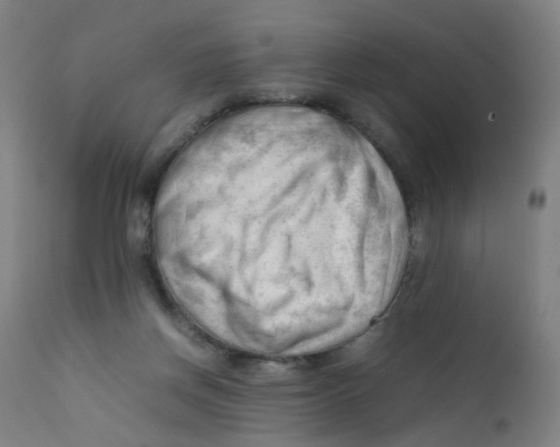 X0000112210166200909041349