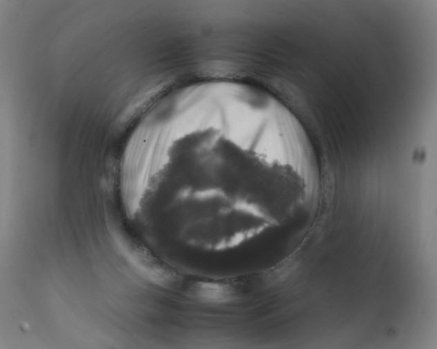 X0000112210167200909041349