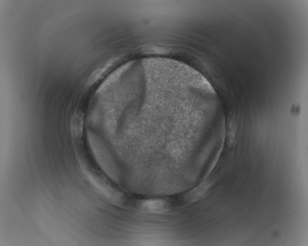 X0000112210168200909041349