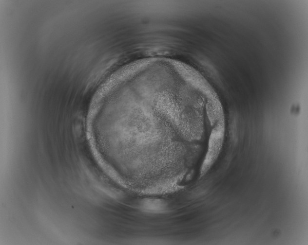 X0000112210169200909041349