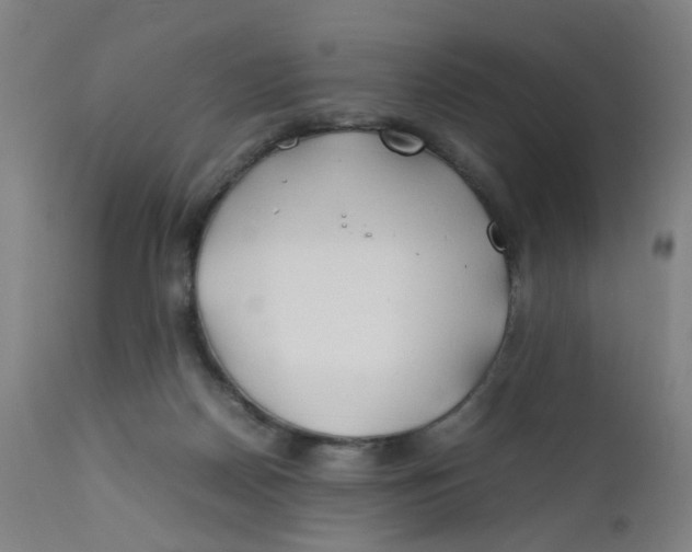X0000112210170200909041350