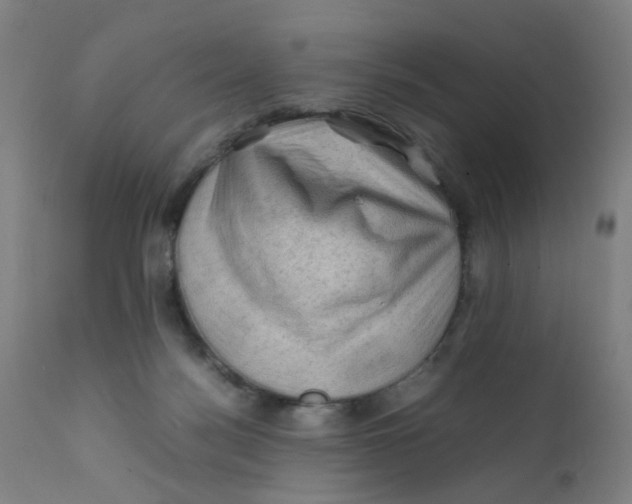 X0000112210172200909041350