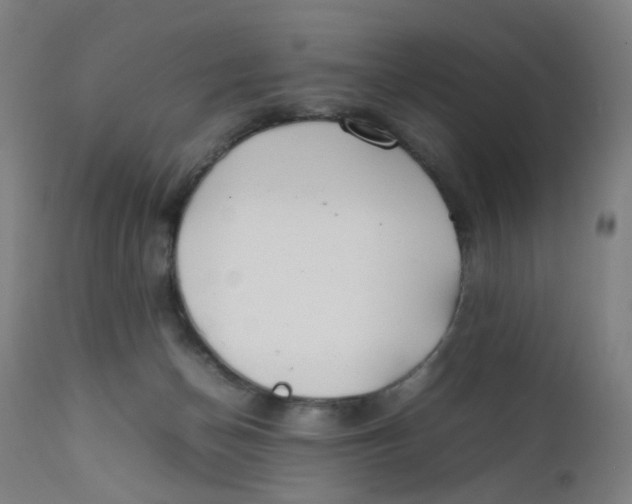 X0000112210174200909041350