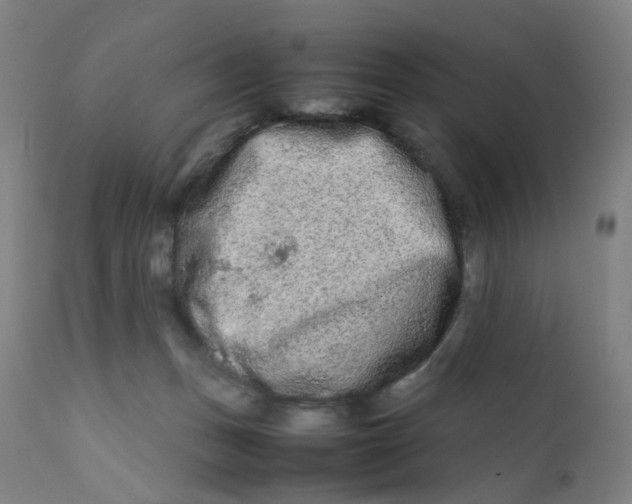 X0000112210175200909041350