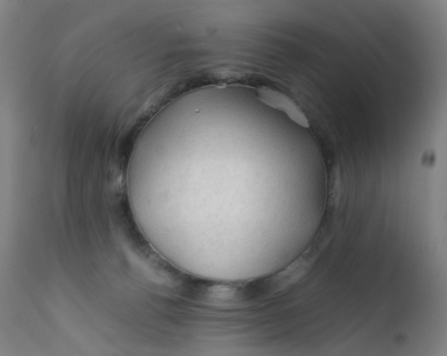 X0000112210176200909041350
