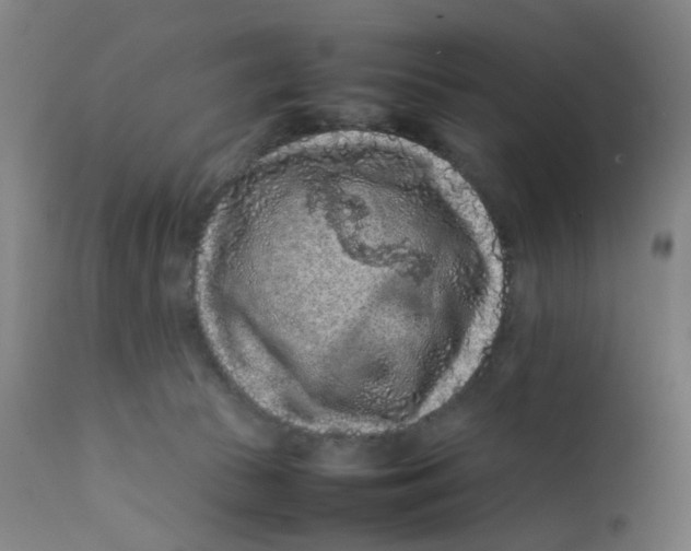 X0000112210177200909041350
