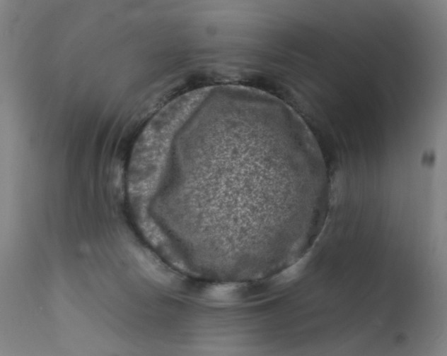 X0000112210178200909041350
