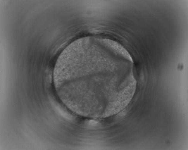 X0000112210180200909041350