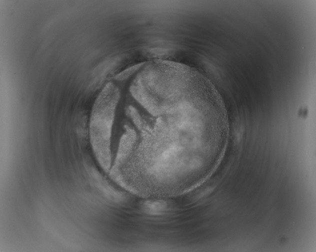 X0000112210181200909041350