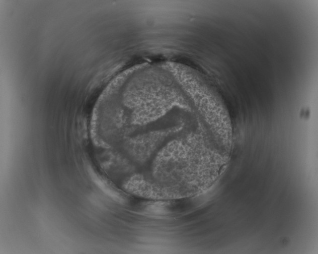 X0000112210182200909041350