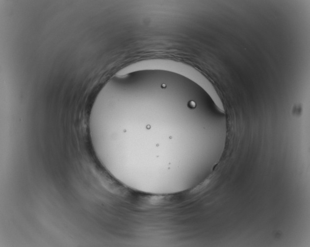 X0000112210184200909041350