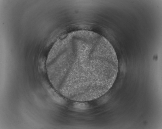 X0000112210185200909041350