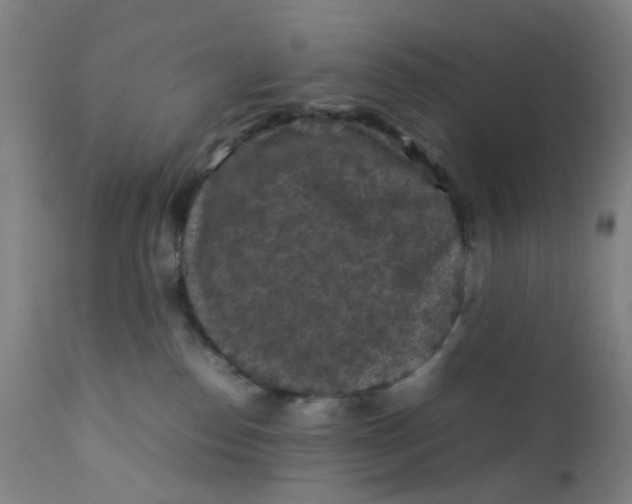 X0000112210186200909041350