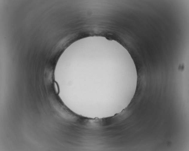 X0000112210188200909041350