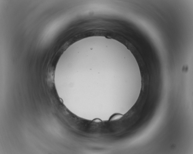 X0000112210190200909041350