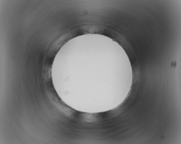 X0000112210191200909041350