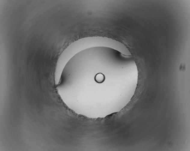 X0000112210192200909041350