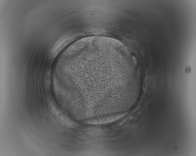 X0000112210194200909041349