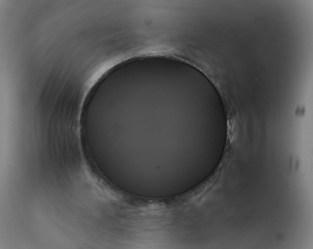 X0000112210196200909041349